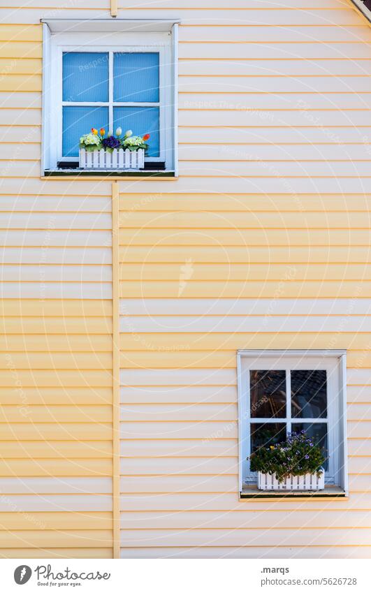 Frühlingsfenster Fenster Fassade Linien gelb hell positiv schön Blumenkasten zuhause wohnen Zufriedenheit Wohnhaus Holzwand Häusliches Leben