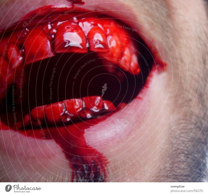 SCHLAG DOCH! Mann Erwachsene Mund Zähne Bart lachen Ekel gefährlich Respekt Gewalt Wunde Zahnlücke Menschenfresser obskur Blut Männermund Anschnitt