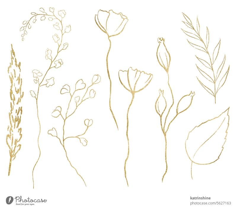 Aquarell Wildblumen, goldene Umrisse isoliert Illustration, Hochzeit Briefpapier Element Geburtstag botanisch Dekoration & Verzierung Zeichnung Laubwerk Garten