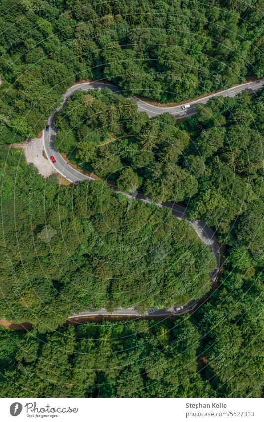 Luftaufnahme eines roten Autos, das auf einer Serpentinenstraße durch einen grünen Wald fährt. PKW Kurve reisen idyllisch Natur fahren Bäume Draufsicht