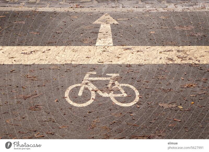 Piktogramm eines Fahrrades mit Richtungspfeil am Straßenrand / Straßenüberquerung Radweg Fahrradweg Asphalt Linien Straßenmarkierung Winter Fahrbahnmarkierung