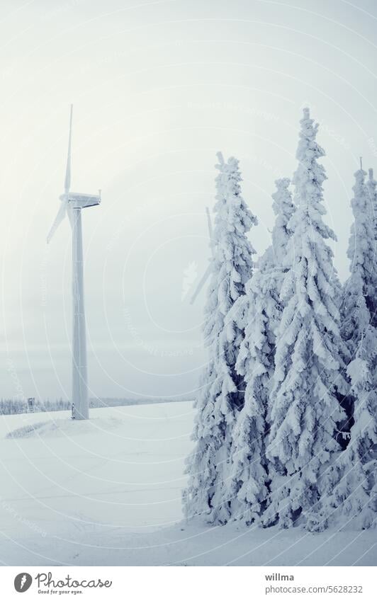 Tief verschneite erzgebirgische Baumpyramiden mit Flügelrad Winterlandschaft Windrad Schnee Winterstimmung Wintertag Schneelandschaft winterlich schneebedeckt