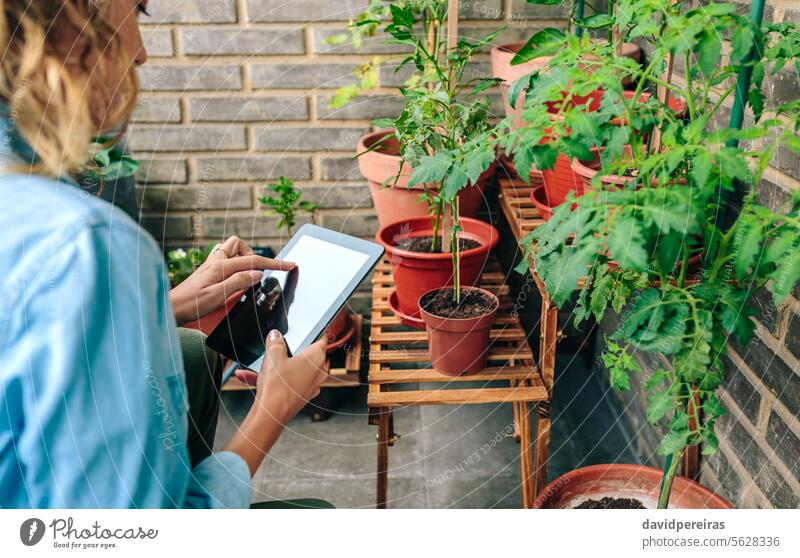 Frau, die ein digitales Tablet berührt, während sie die Pflanzen eines städtischen Gartens auf der Terrasse pflegt Gärtner berührend benutzend Tablette Gerät
