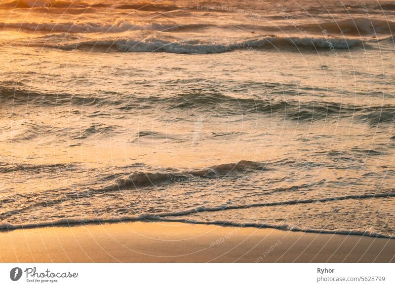 Meer Ozean Wasseroberfläche mit kleinen Wellen bei Sonnenuntergang. Abend Sonnenlicht Sonne über Meer. Meerwasser Schaum spritzt Waschen Sandstrand. Meer Ozean Wasser warme Farben. Amazing Landschaft Landschaft. Kopieren Raum. Natur Hintergrund