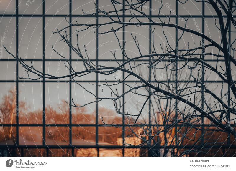 Kahle Zweige vor dem Muster einer Glasfassade, in der sich herbstliche Bäume spiegeln, kahl Fassade Spiegelung filigran Silhouette doppelt Verheißung