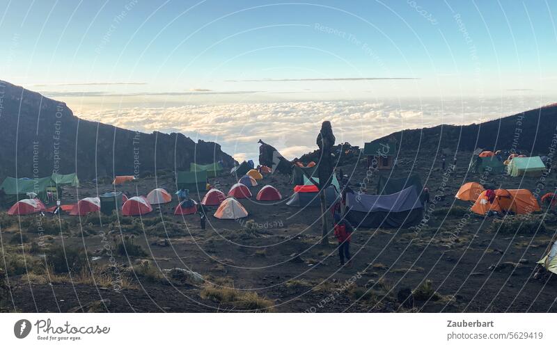 Ein Zeltlager über den Wolken auf dem Kilimanjaro, Lemosho-Route Lager Zelte Trekking Wandern Wanderung Morgen Sonnenaufgang bunt Leben Abenteuer Natur wandern