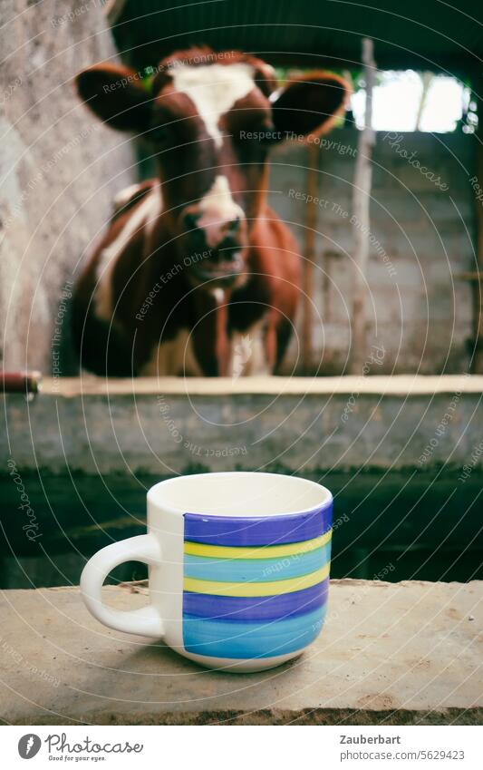Eine Kuh schaut über den Trog auf eine Tasse Kaffee Tee Frühstück Stall Blick Tier Getränk trinken blau Verwunderung