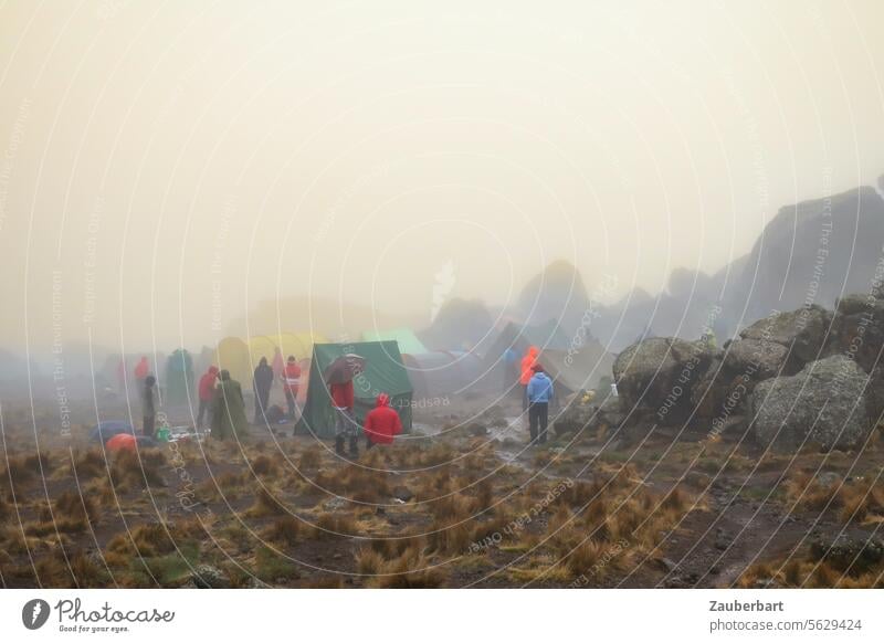 Wanderer und Träger, ein Regenschirm, Zelte, Nebel und Morast im Camp auf dem Kilimanjaro Lager wandern Aufstieg unheimlich ungemütlich Wolken Natur Abenteuer