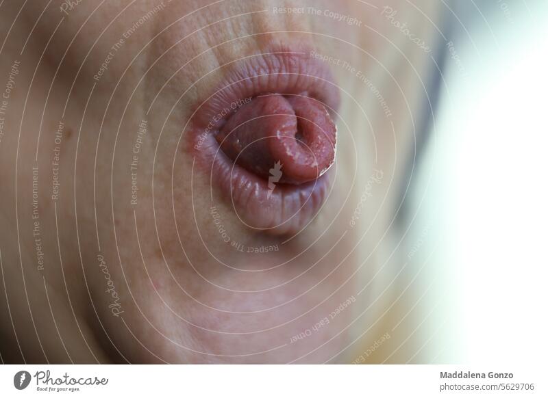 eingerollte Zunge Mund abgerollt Gene Genetik Nahaufnahme Farbe nass rot alt Fähigkeit Frau .