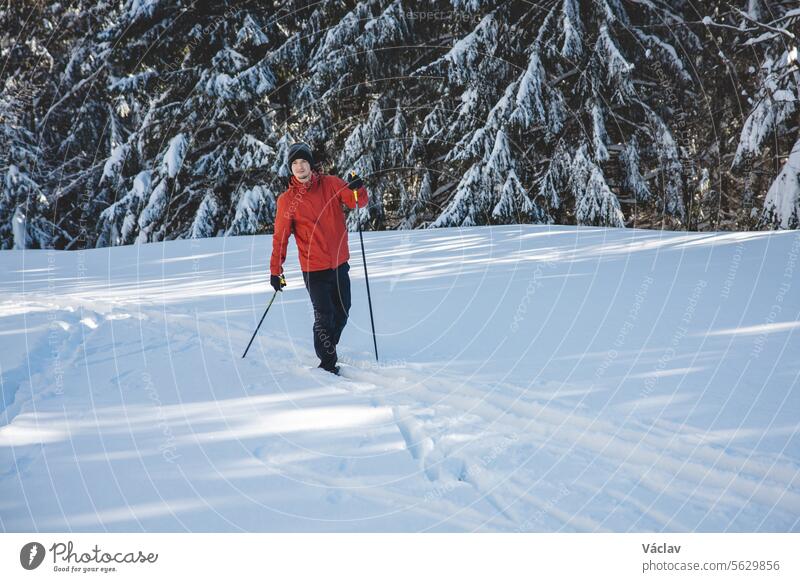 Junger erwachsener Skilangläufer im Alter von 20-25 Jahren, der seine eigene Spur im Tiefschnee in der Wildnis bei sonnigem Morgenwetter in den Beskiden, Tschechische Republik, zieht