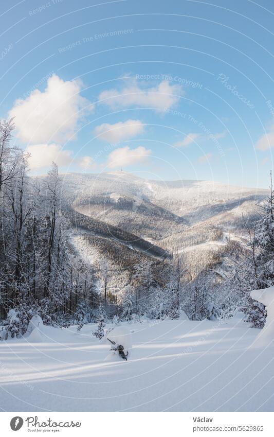 Winterlandschaft mit Sonnenstrahlen, die sich auf dem glitzernden Schnee spiegeln. Sonnenaufgang in einer verschneiten Wildnis und einem Waldgebiet. Beskiden, Tschechische Republik