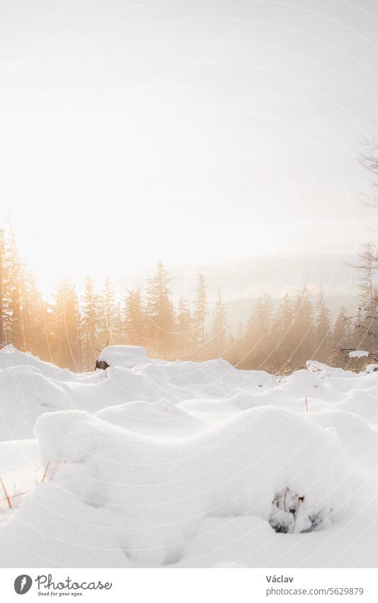 Nebeliger Morgen in einer verschneiten Landschaft in Visalaje, Beskiden im östlichen Teil der Tschechischen Republik. Weißes Märchen in den Wintermonaten bei Sonnenaufgang