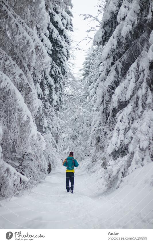 Wanderer wandert durch die verschneite Landschaft. Winterwanderung durch unberührte Landschaft in den Beskiden, Tschechische Republik. Lebensstil beim Wandern
