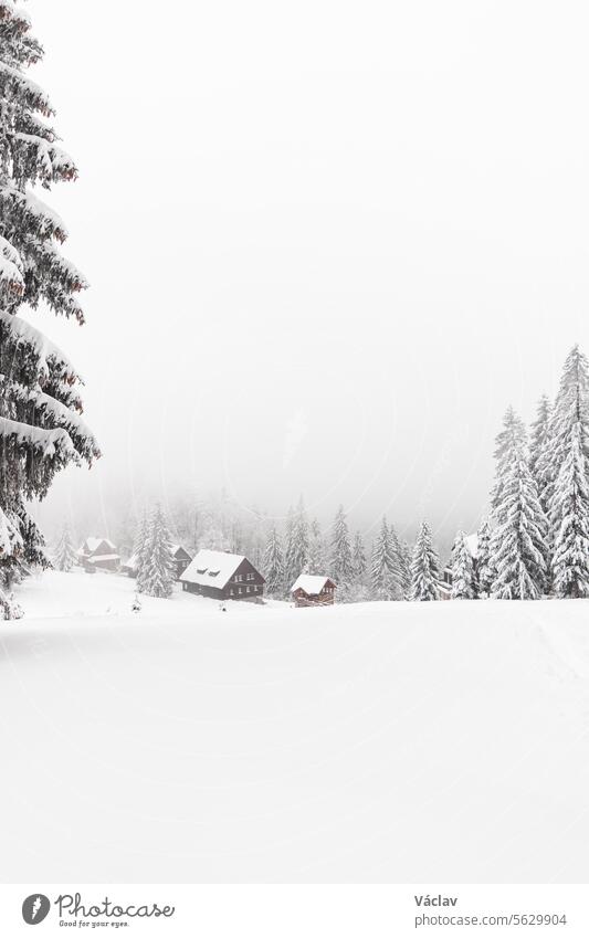 Nebeliger Morgen in einer verschneiten Landschaft in Visalaje, Beskiden, im östlichen Teil der Tschechischen Republik. Ein weißes Märchen in den Wintermonaten