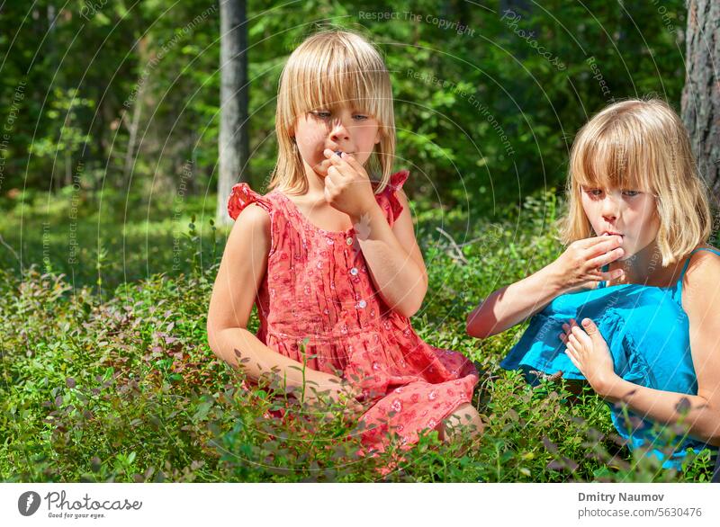 Kinder pflücken Beeren in einem Sommerwald Heidelbeere Blaubeeren Rauschbeere Kaukasier heiter Kindheit Ernte Tag lecker Kleid essen Essen Genuss Lebensmittel