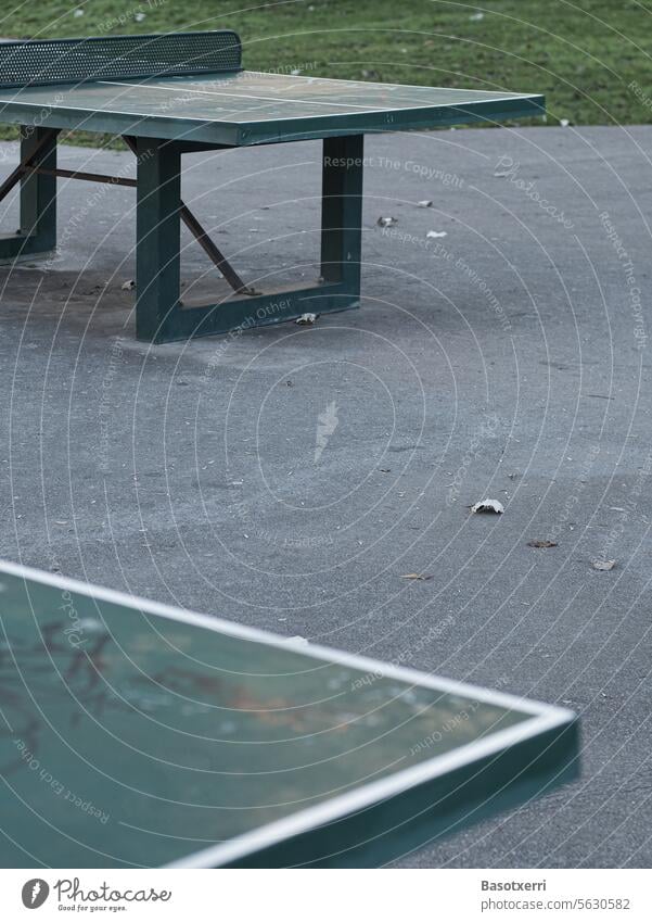 Detailansicht von Tischtennisplatten aus Beton auf einem Spielplatz Pingpong Sport Freizeit & Hobby Ballsport Netz Spielen Außenaufnahme Sportstätten Tag grün