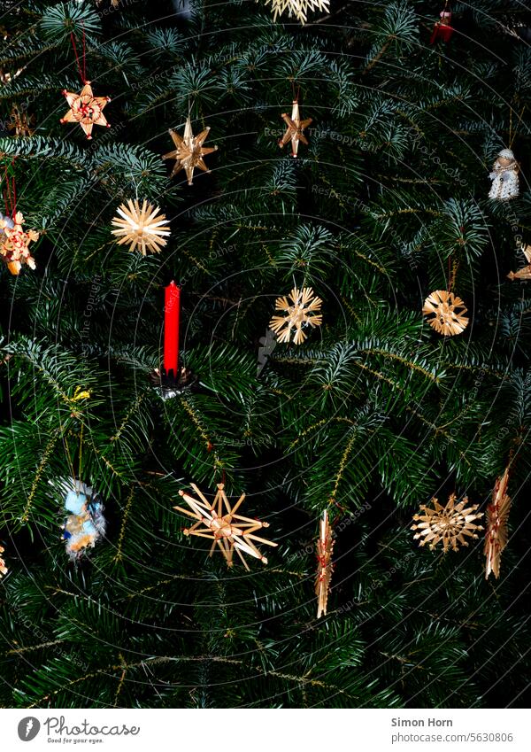 Weihnachtsbaum mit Strohschmuck und Kerze Strohsterne weihnachtlich Vorfreude Feste & Feiern Weihnachten & Advent Weihnachtsdekoration Dekoration & Verzierung