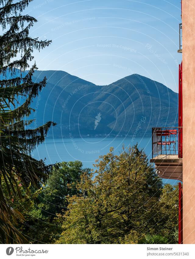 Zimmer mit Aussicht Lago Maggiore see seeblick balkon natur aussicht ascona tessin schweiz Wasser