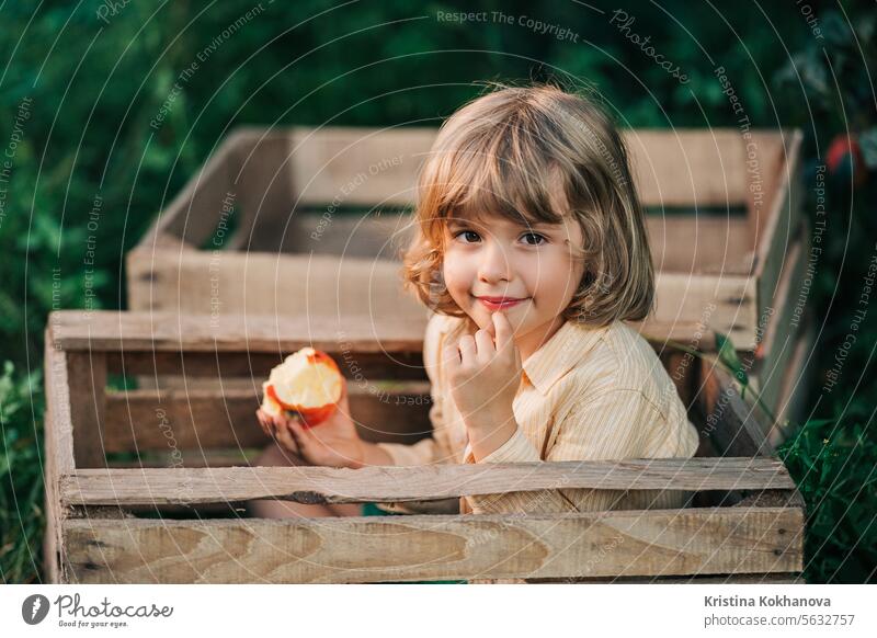 Lustiger kleiner Junge isst saftigen Apfel, sitzt in Holzkiste orchard.organic fruits landwirtschaftlich Amerikaner Herbst Baby Hintergrund Korb Biografie