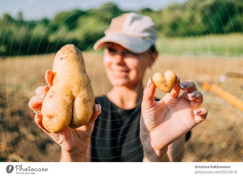 Frau pflückt herzförmige Kartoffeln. Gesundes Produkt, Vitamine. Ernte, Handarbeit appetitlich Hintergrund Speck gebacken braun Champignon Nahaufnahme gekocht