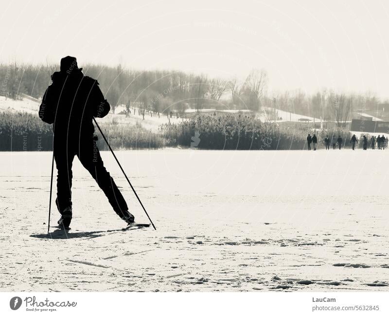 Skilanglauf auf dem See Langlauf Wintersport Schnee Winterurlaub Skifahren zugefrorener See Loipe Sport Seeoberfläche weiß Rückensnsicht von hinten Februar