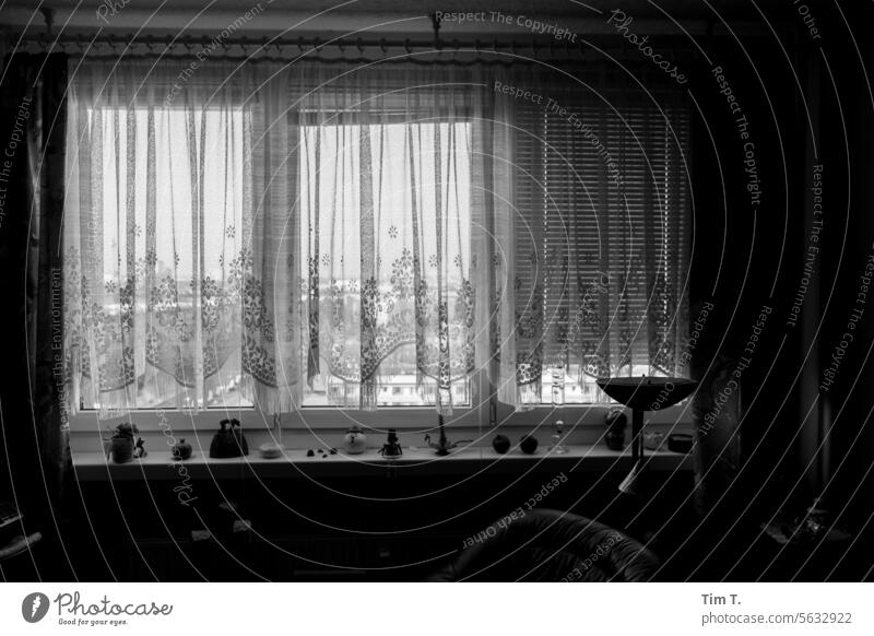 Wohnzimmer mit Gardine Plattenbau Winter Berlin Lichtenberg Hochhaus Menschenleer Fenster Haus Tag Häusliches Leben Wohnung s/w wohnen