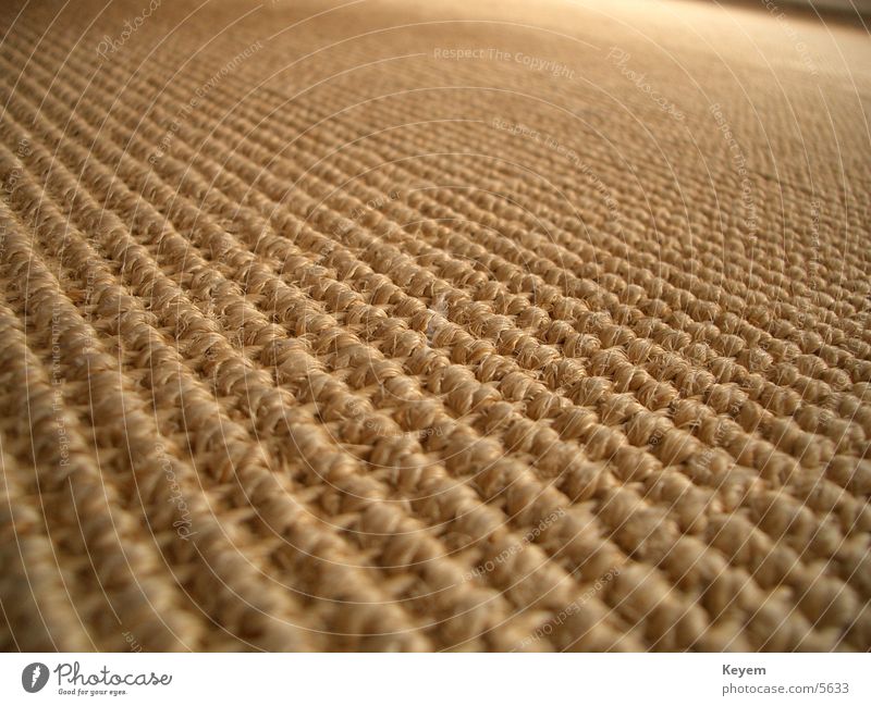 Der Teppich (?) Stoff Strukturen & Formen Makroaufnahme Nahaufnahme Bodenbelag Holzfaser
