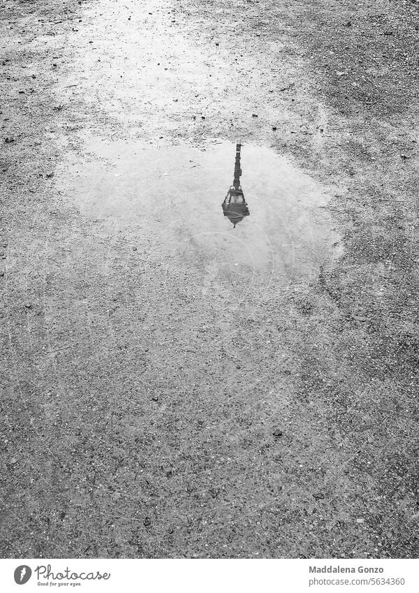 Spiegelung eines Laternenpfahls im Paddel auf dem Boden Reflexion & Spiegelung Lampe Straßenleuchte Pfütze Regen nass Asphalt Textur körnig klassisch Wetter