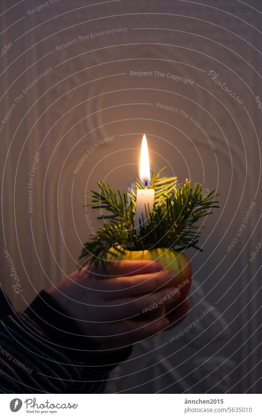 ein Apfellicht wird von zwei Händen festgehalten Weihnachten feiern Kerze festlich Tannengrün Dekoration & Verzierung Weihnachten & Advent Feste & Feiern Winter