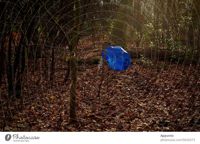 Ein aufgespannter blauer Regenschirm, der herrenlos auf dem laubbedeckten braunen Waldboden liegt, leuchtet hell im schräg einfallenden Sonnenlicht Schirm