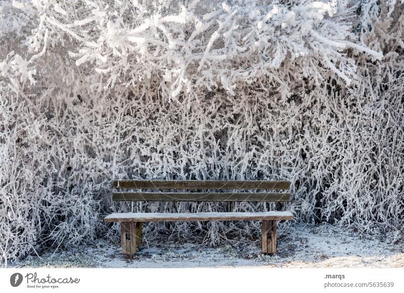 Eisbank Schnee Natur kalt Umwelt Sitzbank Bank Baum Winter ruhig gefroren Stimmung Sitzgelegenheit schneebedeckt Märchenhaft stille idyllisch Wetter frieren