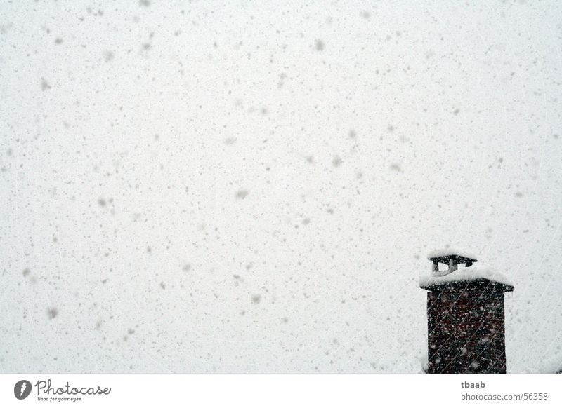 Schnee, schnee, schnee Winter kalt Schneefall chaotisch Schornstein Himmel 1 Menschenleer Außenaufnahme Abdeckung Schneeflocke Schneesturm eng Winterstimmung