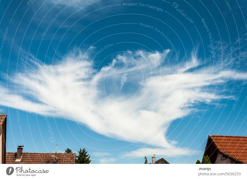 Wolkendynamik Wolkenformation Klima Klimawandel Umwelt Urelemente Schönes Wetter Stimmung Natur Himmel Wolkenhimmel Haus Meteorologie Dynamik