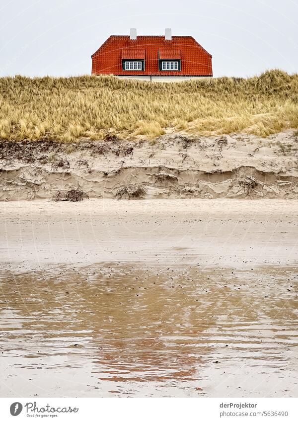Ein Haus blickt über eine Düne in Dänemark relaxation erholen & entspannen" Erholungsgebiet baden Freiheit Urlaub Urlaubsstimmung Außenaufnahme Meer Farbfoto