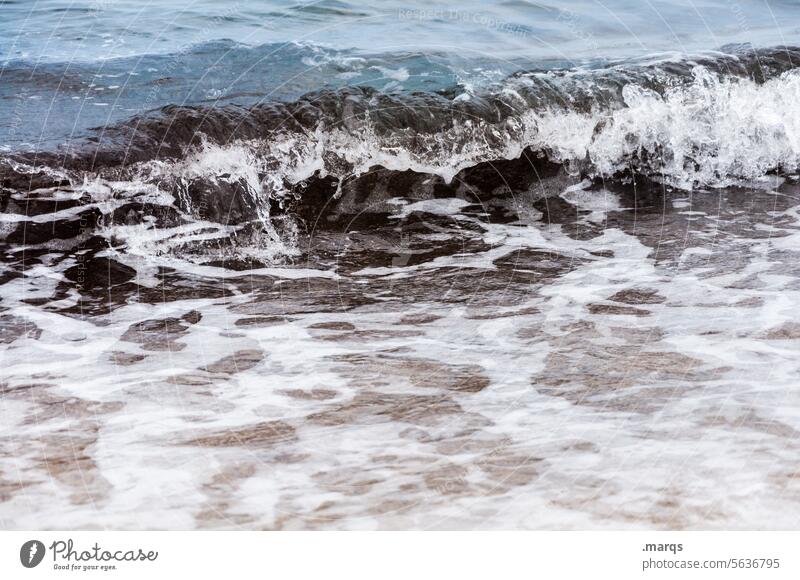 Kleine Welle Wasser Strand Meer Natur Dynamik Wellenbruch Perspektive Kühlung kalt Gezeiten Brandung Gischt Gewässer nass