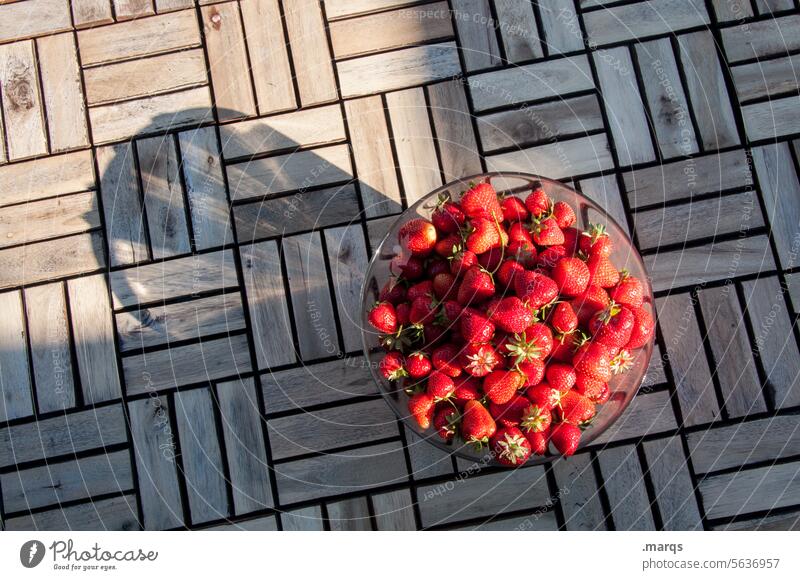 Erdbeeren Lebensmittel Schalen & Schüsseln Sommer Frucht Vogelperspektive Gesunde Ernährung Bioprodukte gepflückt Erntezeit Erdbeerernte Draufsicht Gesundheit