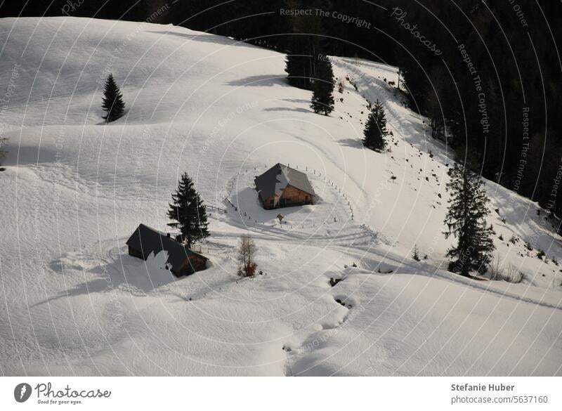 Blick auf verschneite Hütte in den Bergen Schneelandschaft Winter Berge u. Gebirge Alpen Außenaufnahme Winterurlaub Ferien & Urlaub & Reisen kalt Menschenleer