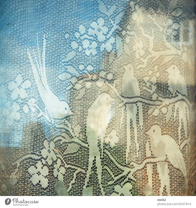 Gesangsquintett Stoffmuster altmodisch Fenster Dekoration & Verzierung Glas Reflexion & Spiegelung Fensterbild Fassade Skyline Haus Spiegelbild Altstadt