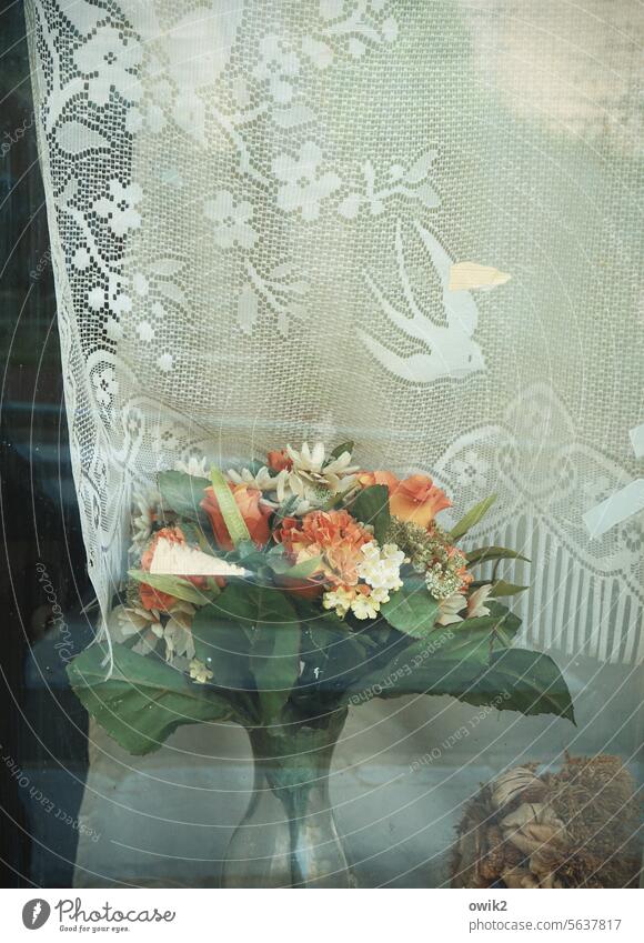 Rückblende Blumenvase Blumenstrauß Kunstblumen Trockenstrauß Bukett Fenster Gardine alt Stoffmuster altmodisch Dekoration & Verzierung Ornamente Fensterscheibe