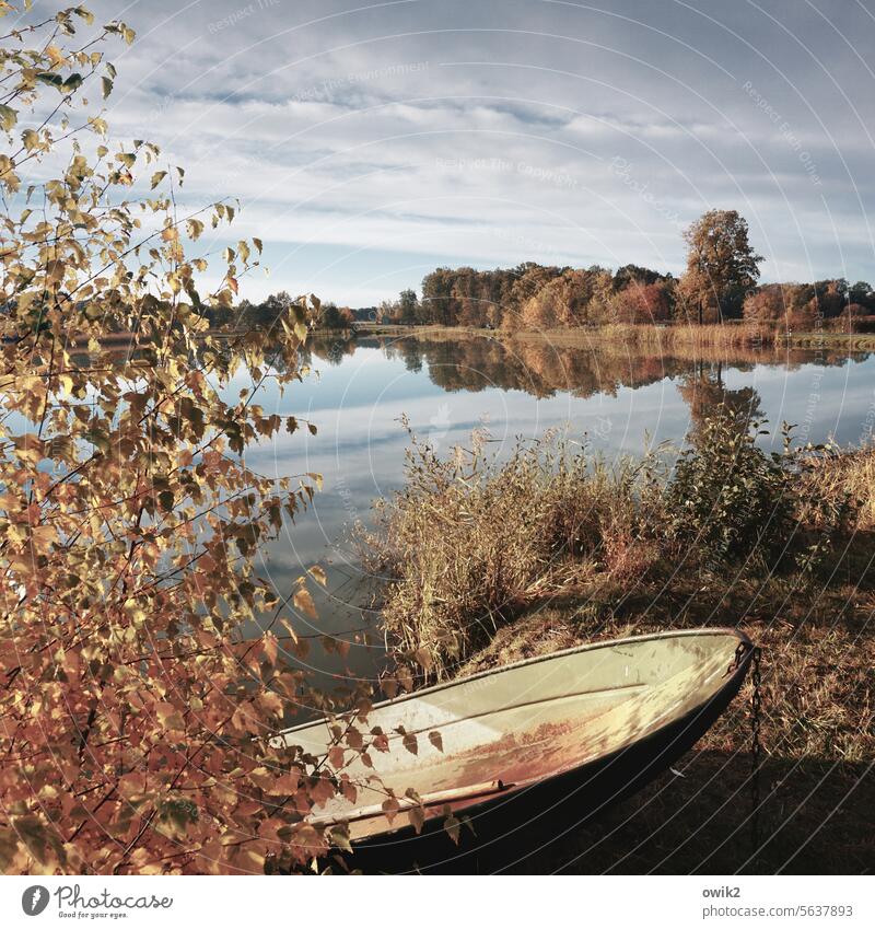 Liegeplatz Kahn Fischerboot Boot Ruderboot Seeufer Sträucher Gras Pflanze Herbst friedlich draußen Bäume Ruhe geheimnisvoll windstill Weite ruhig hell Totale