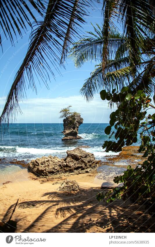 CR XXX. Manzanillo Costa Rica Karibisches Meer Urlaub Ferien & Urlaub & Reisen Ferne Tourismus Palmen Felsen Strand Küste Wasser Park schatten Fernweh schön