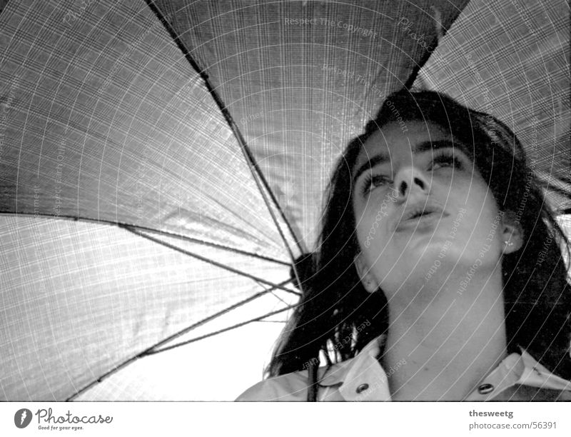 Frau unter Regenschirm Spaziergang Fräulein Madame beschwingt Zufriedenheit Fröhlichkeit Unterkunft beweglich Promenade umherschlendern Schutzdach Niederschlag
