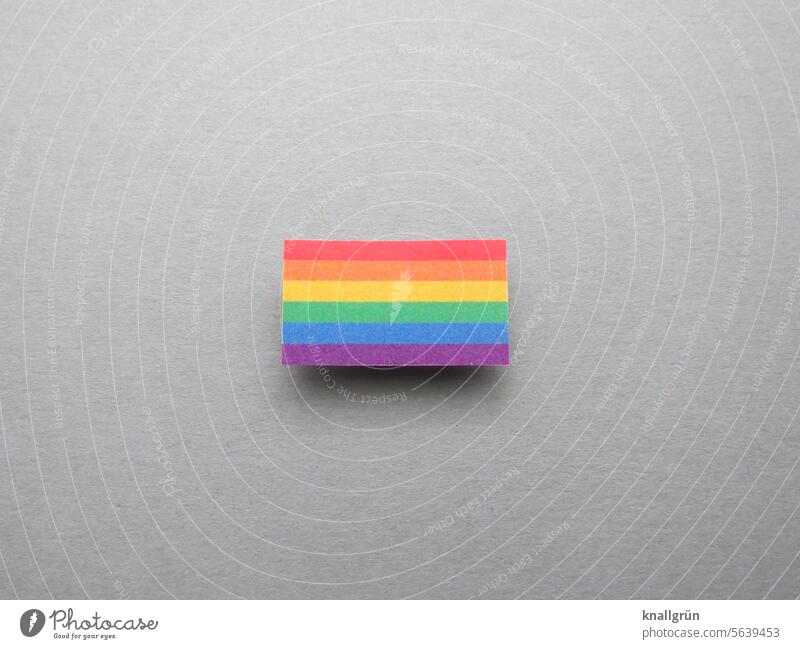 Regenbogenfahne bunt Vielfalt Toleranz Gleichstellung Freiheit Homosexualität Liebe Symbole & Metaphern regenbogenfarben lgbtq Regenbogenflagge farbenfroh