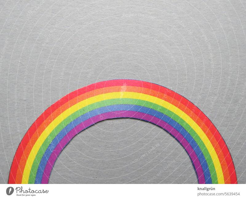 Regenbogen bunt Gleichstellung Vielfalt Toleranz Homosexualität Liebe Symbole & Metaphern lgbtq Freiheit Sexualität farbenfroh regenbogenfarben queer lesbisch