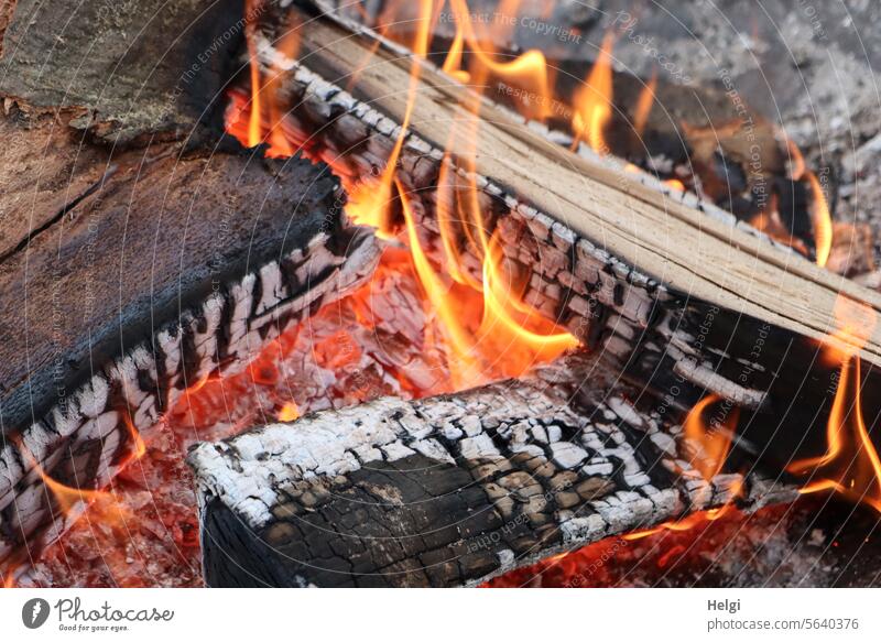 mal kurz aufwärmen ... Feuer Feuerstelle Glut Holz Brennholz brennen glühen Wärme Flamme lodern heiß glühend Außenaufnahme Farbfoto Menschenleer gefährlich