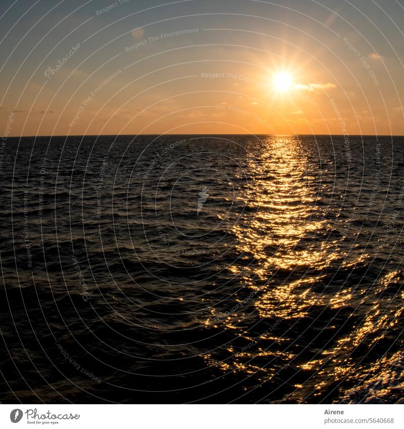 Bald wird Nacht sein Meer Sonnenuntergang Wellen Gegenlicht Abend dunkel Nordsee Abendlicht Spiegelung Zentralperspektive Wasser Reflexion & Spiegelung Licht