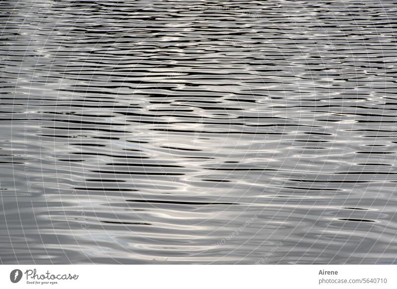 Wasser - Strichcode Wellen schraffiert Wellenlinie grafisch Hintergrund Streifen bewegt See weiß silber ruhig Urelemente Wasseroberfläche Natur Teich sanft