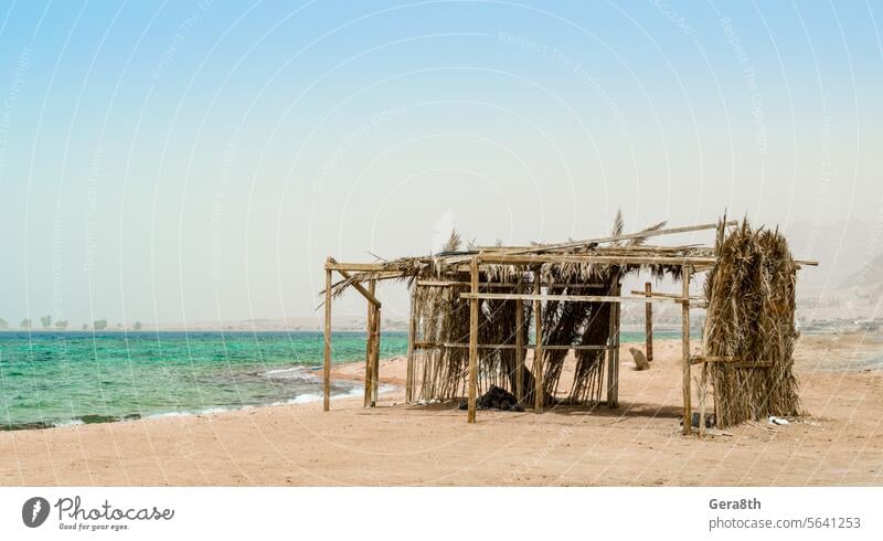 Palmenhütte mit Müll an der Küste des Roten Meeres in Ägypten Dahab Hintergrund Strand Bettler blau Niederlassungen Gebäude Sauberkeit Klima farbig Krise Tag