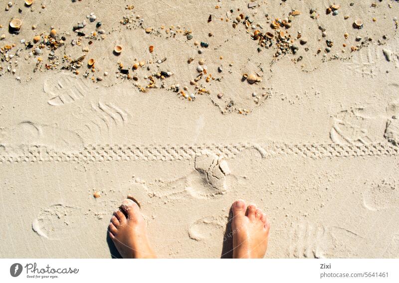 Markierungen im Sand #Sand #Marken Spuren Reifenspuren Abdruck Strand Fußspur #Füße