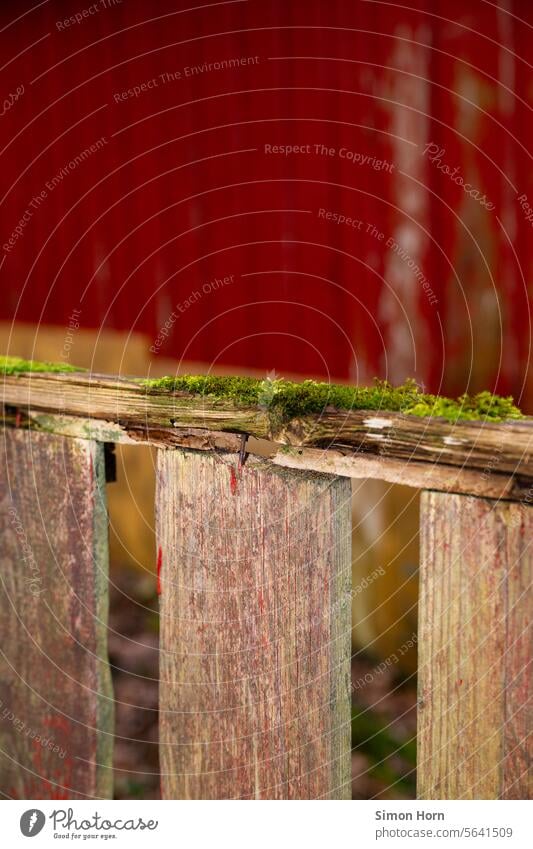 Patina eines alten Holzzauns vor einer roten Holzhütte Moos Zaun Garten Gartenzaun Rückzugsort Idylle morsch moosig Naturnähe natürlich Baustoffe alternativ